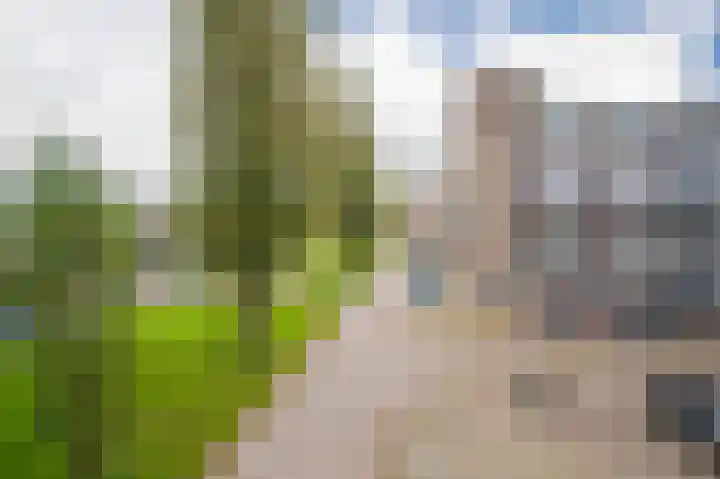 Van Borselenstraat 100 Arnhem thumbnail 6