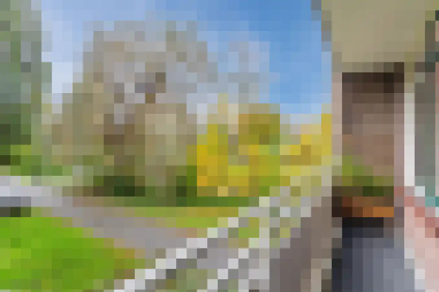 Van Borselenstraat 126 Arnhem thumbnail 5