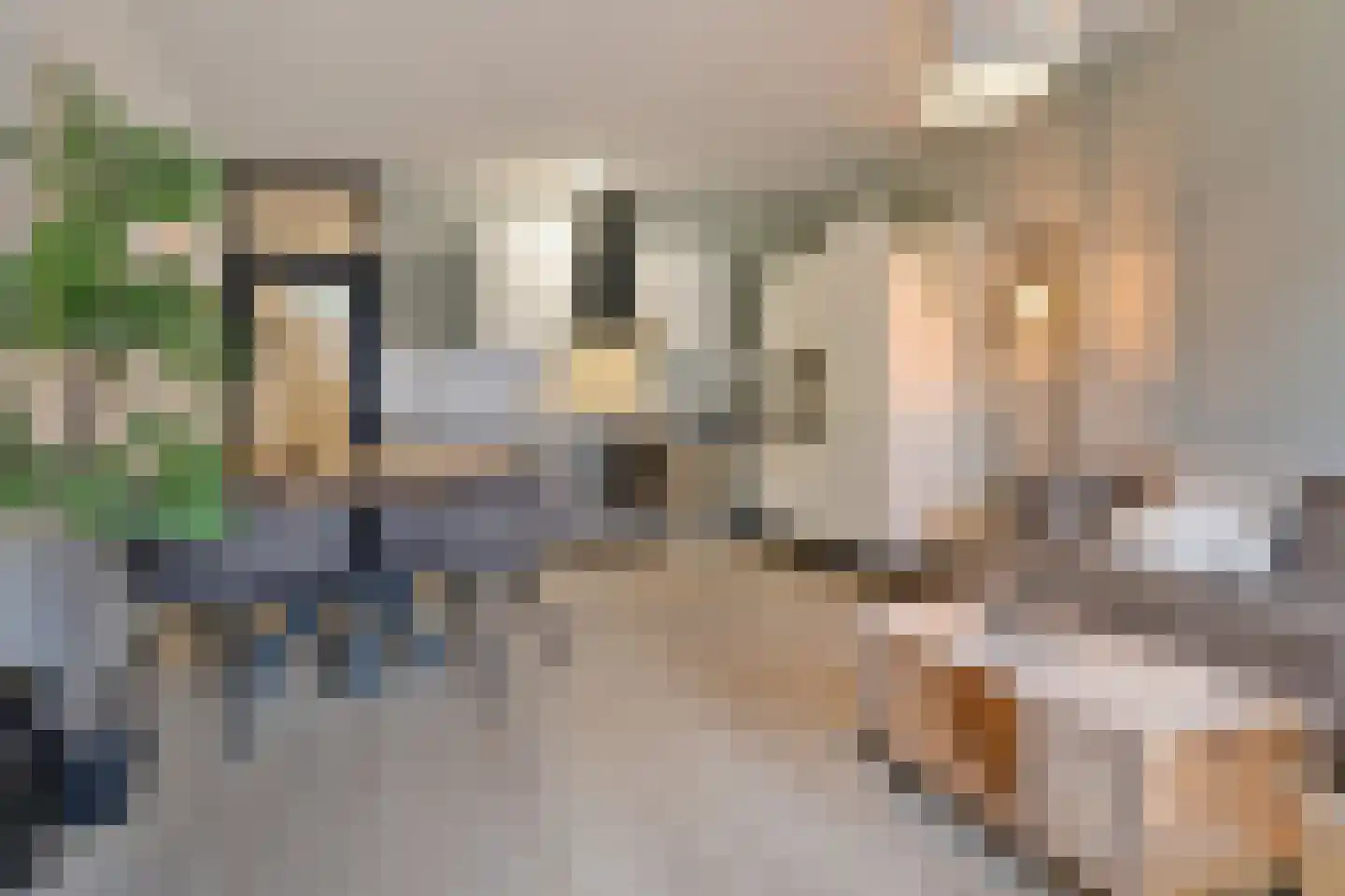 Van Borselenstraat 126 Arnhem thumbnail 6