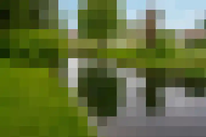 Van Borselenstraat 146 Arnhem thumbnail 31