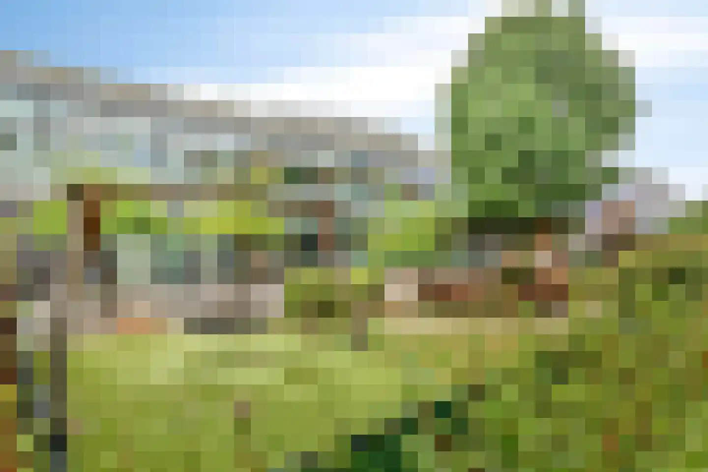 Van Borselenstraat 208 Arnhem thumbnail 31