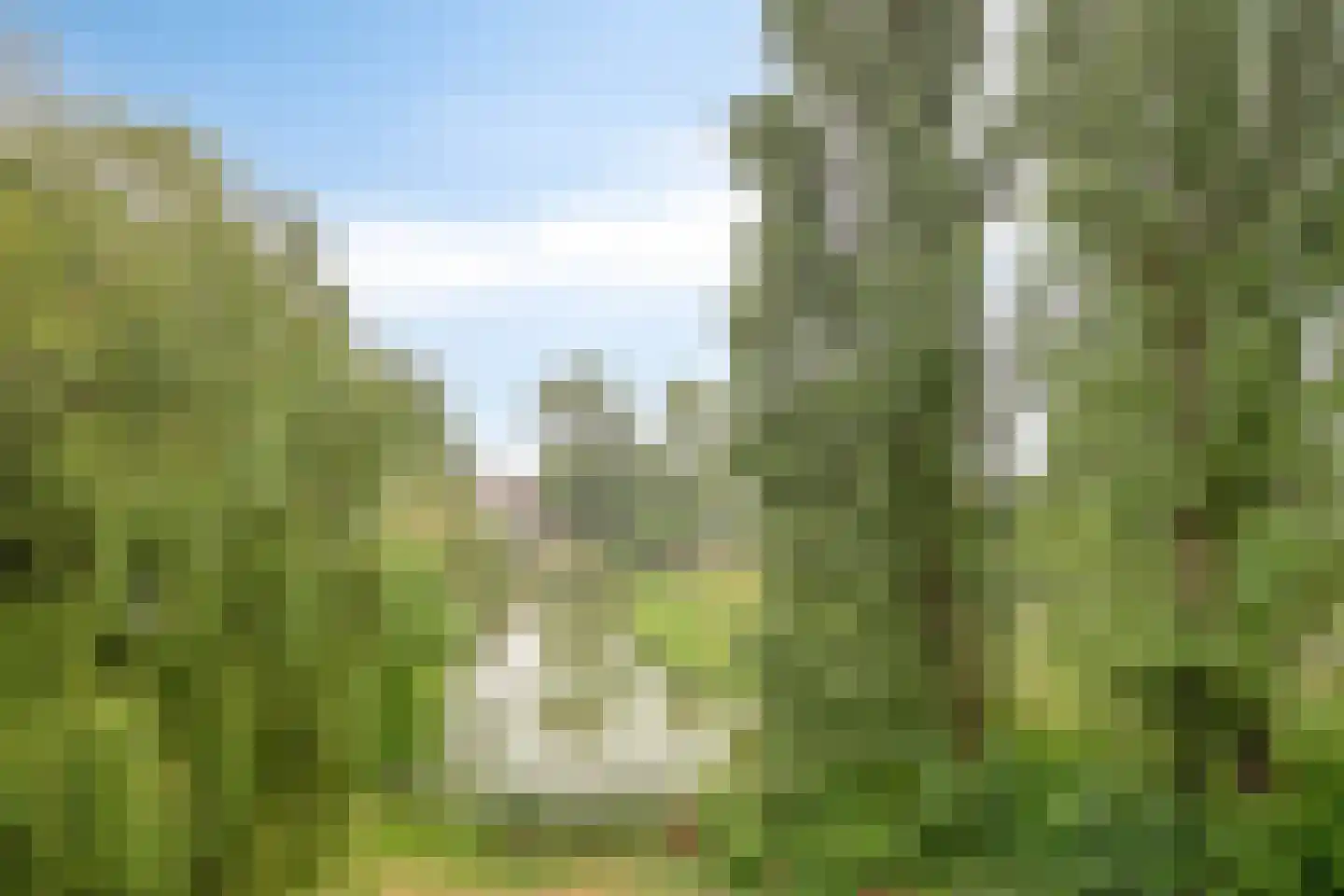 Van Borselenstraat 208 Arnhem thumbnail 7