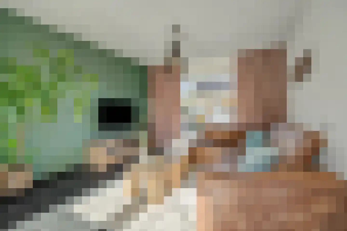 Van Borselenstraat 214 Arnhem thumbnail 28