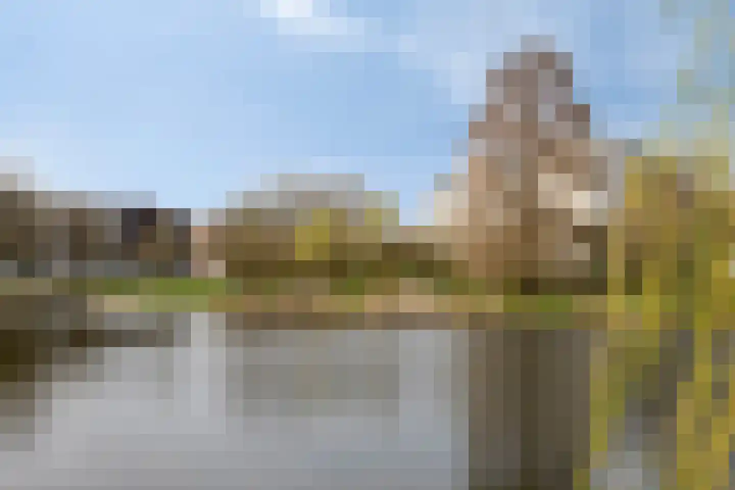 Van Borselenstraat 38 Arnhem thumbnail 30