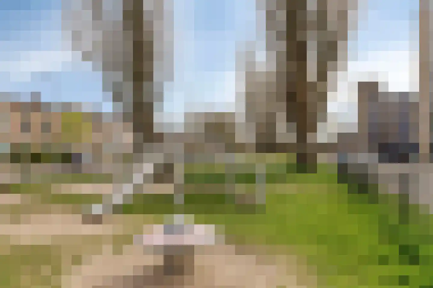 Van Borselenstraat 38 Arnhem thumbnail 31