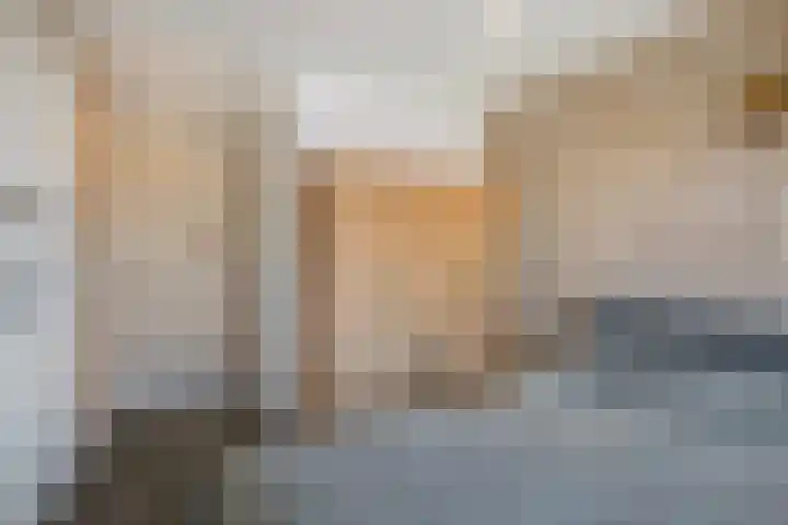 Van Borselenstraat 44 Arnhem thumbnail 12