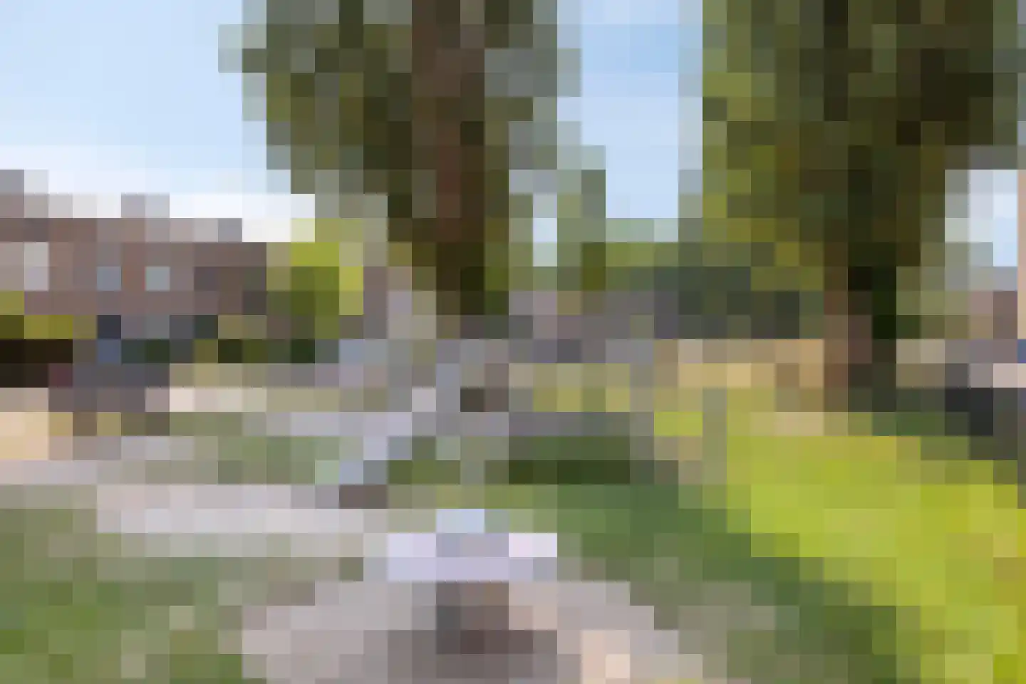 Van Borselenstraat 46 Arnhem thumbnail 32