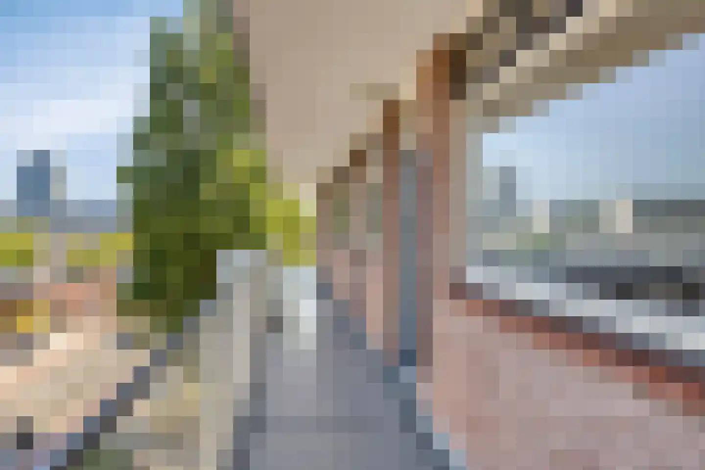 Van Borselenstraat 46 Arnhem thumbnail 7