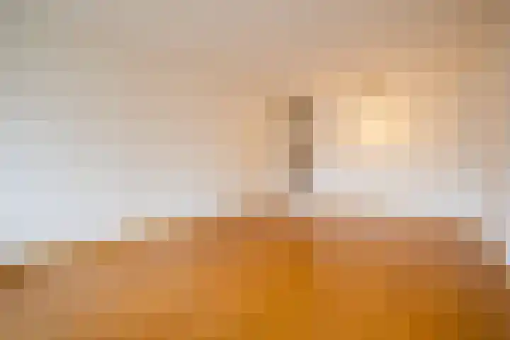 Van Borselenstraat 48 Arnhem thumbnail 5