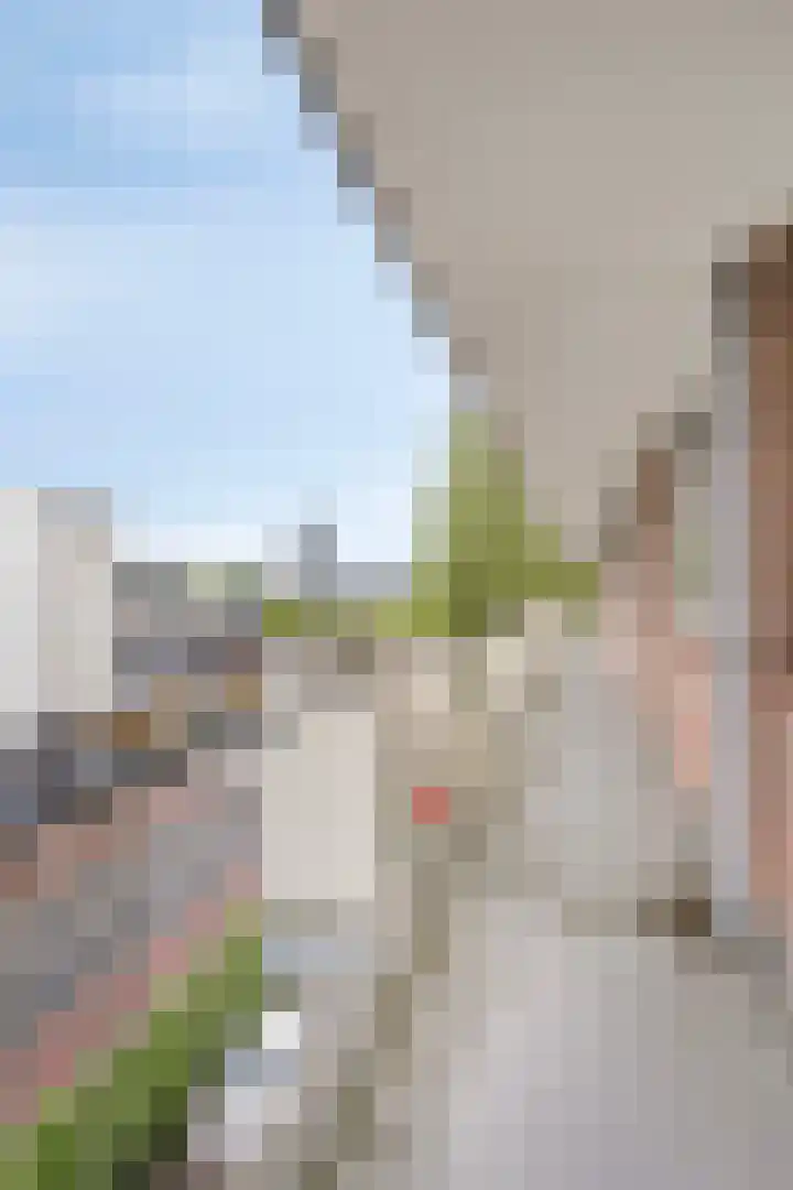 Van Borselenstraat 50 Arnhem thumbnail 6