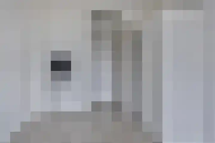 Van Borselenstraat 52 Arnhem thumbnail 23