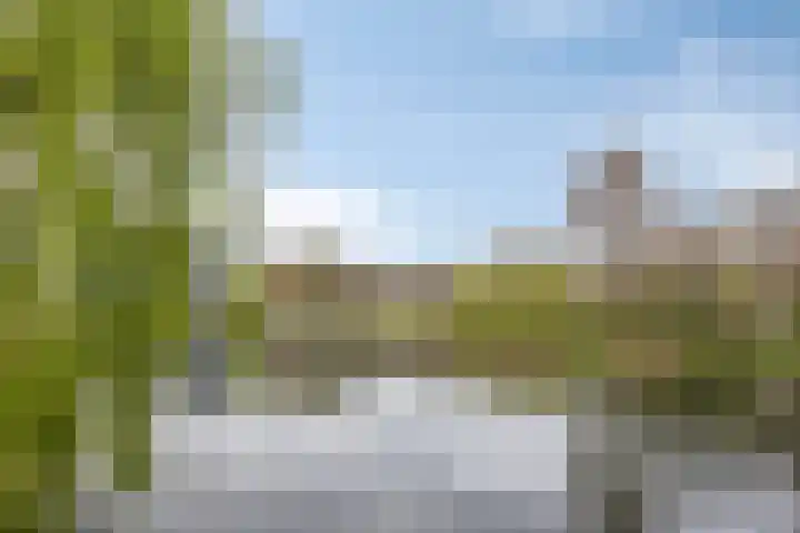 Van Borselenstraat 52 Arnhem thumbnail 34