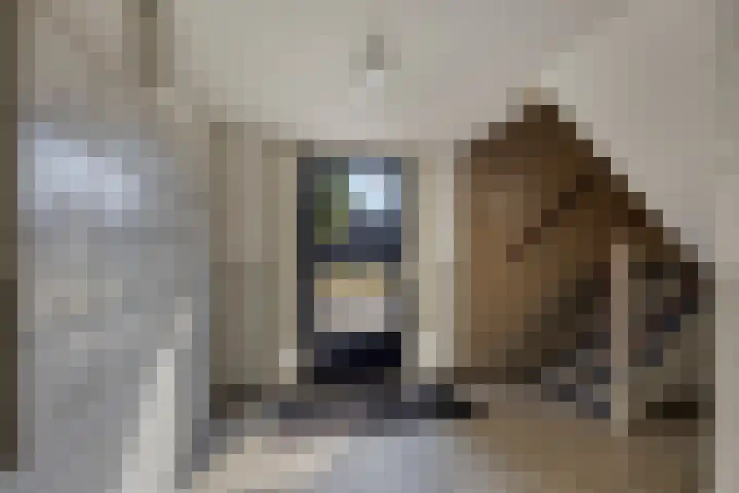 Van Borselenstraat 56 Arnhem thumbnail 30
