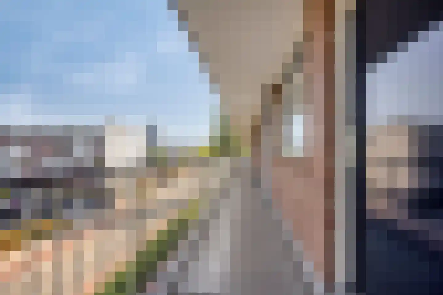Van Borselenstraat 56 Arnhem thumbnail 6
