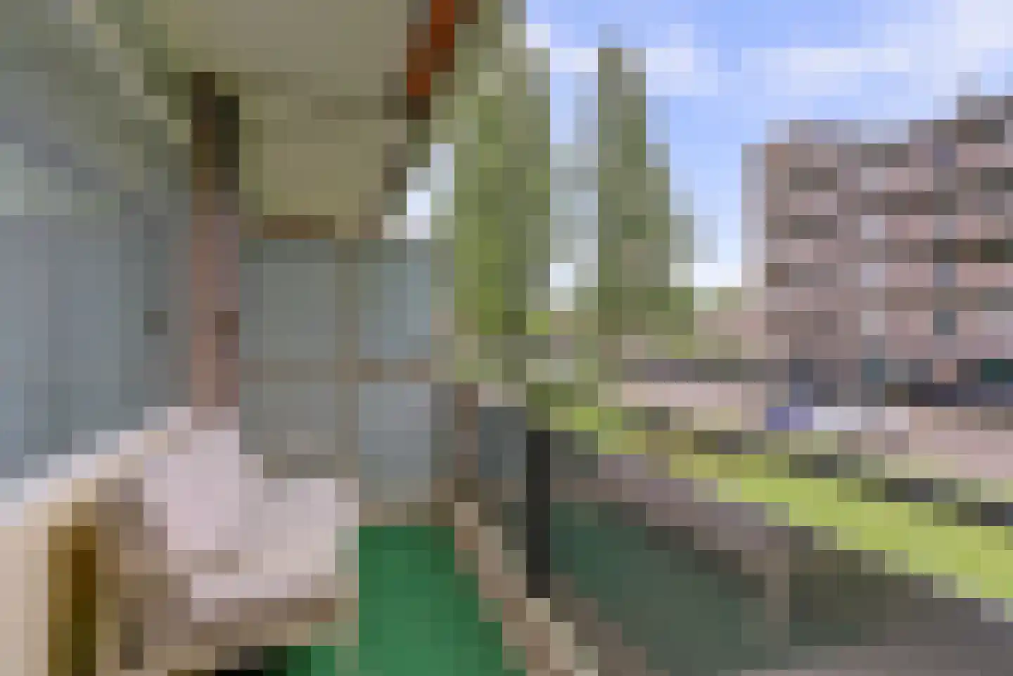 Van Borselenstraat 66 Arnhem thumbnail 27