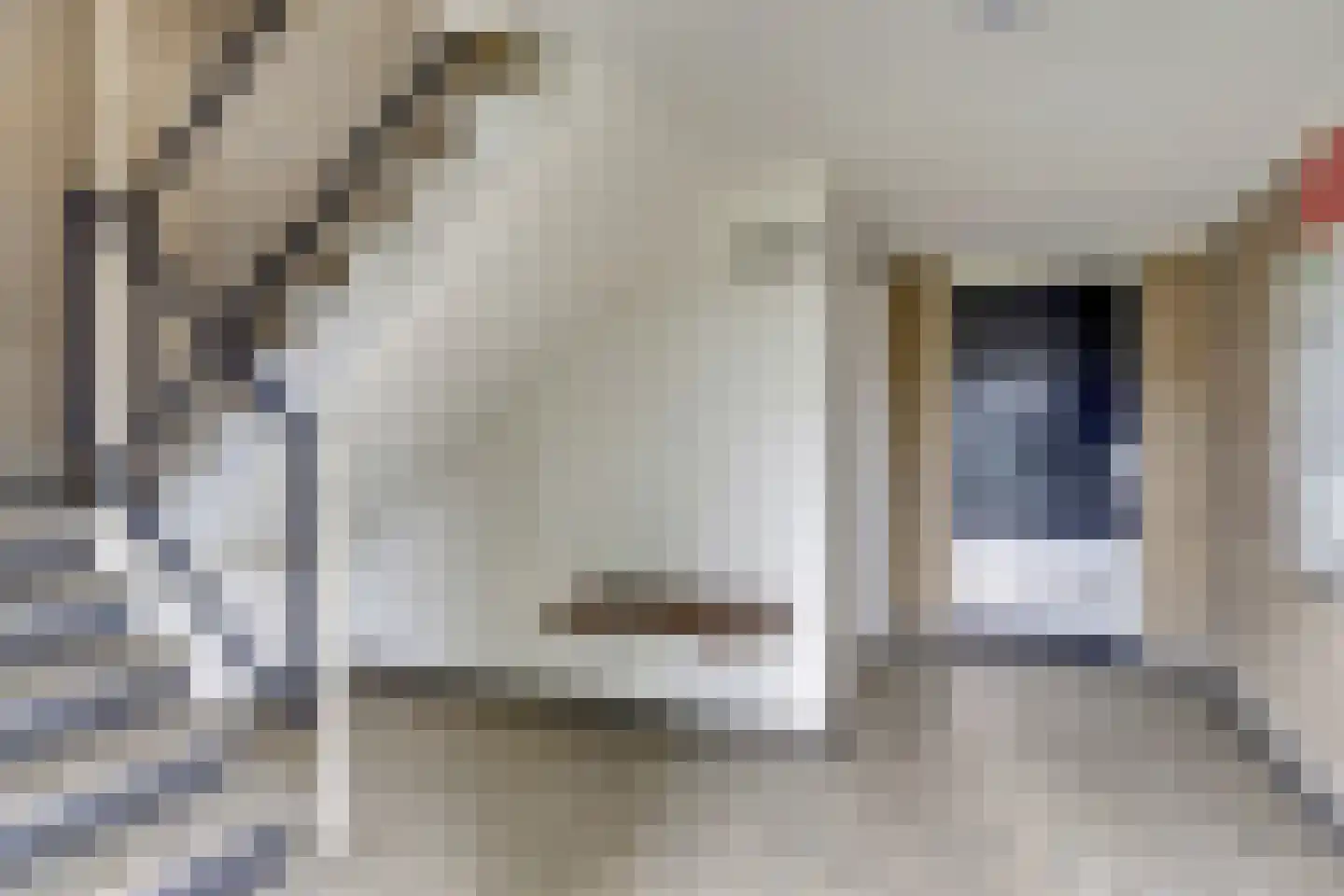 Van Borselenstraat 66 Arnhem thumbnail 4