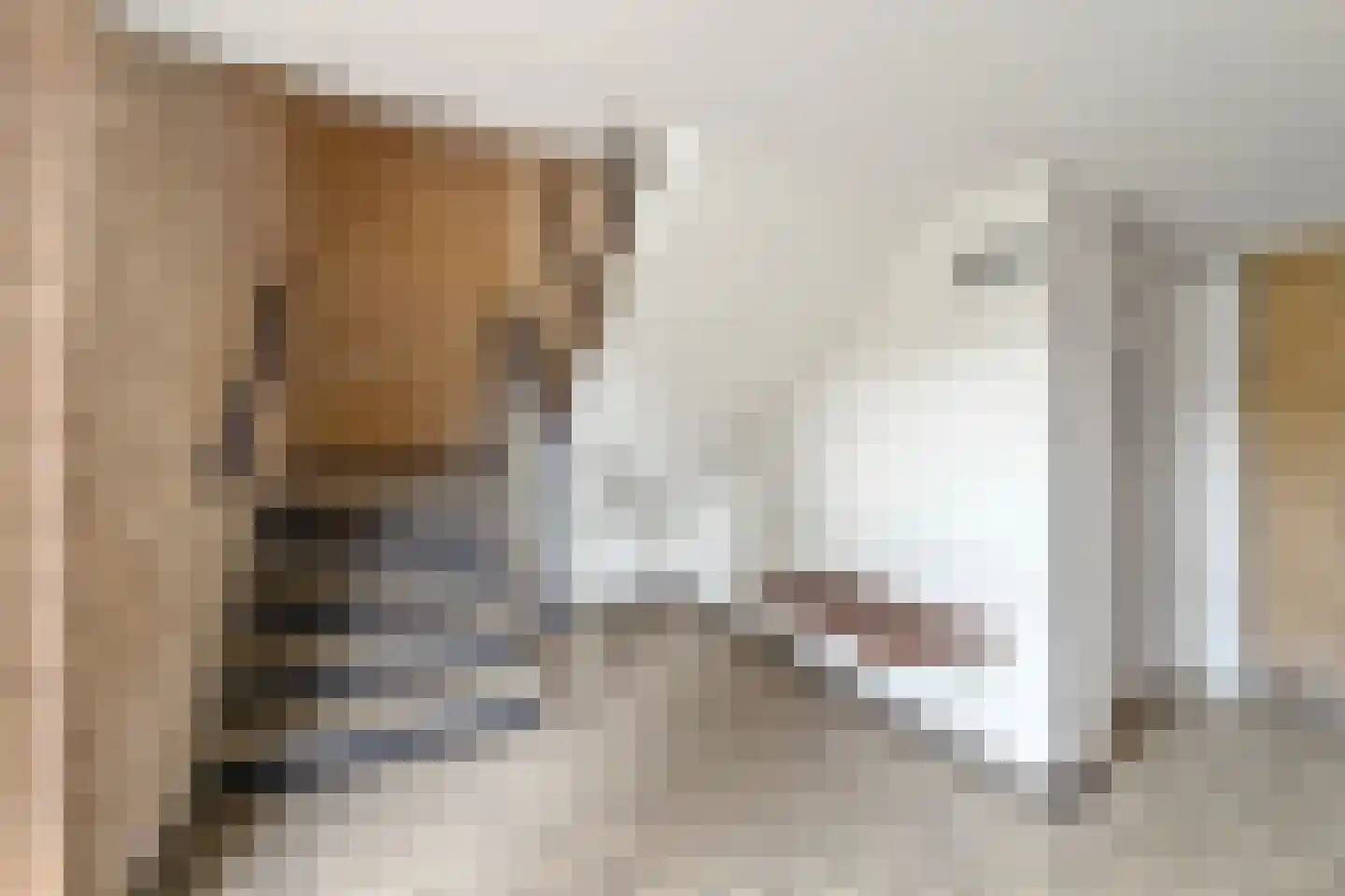 Van Borselenstraat 98 Arnhem thumbnail 24