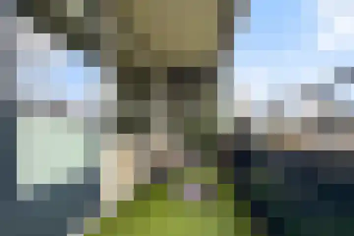 Van Borselenstraat 98 Arnhem thumbnail 4