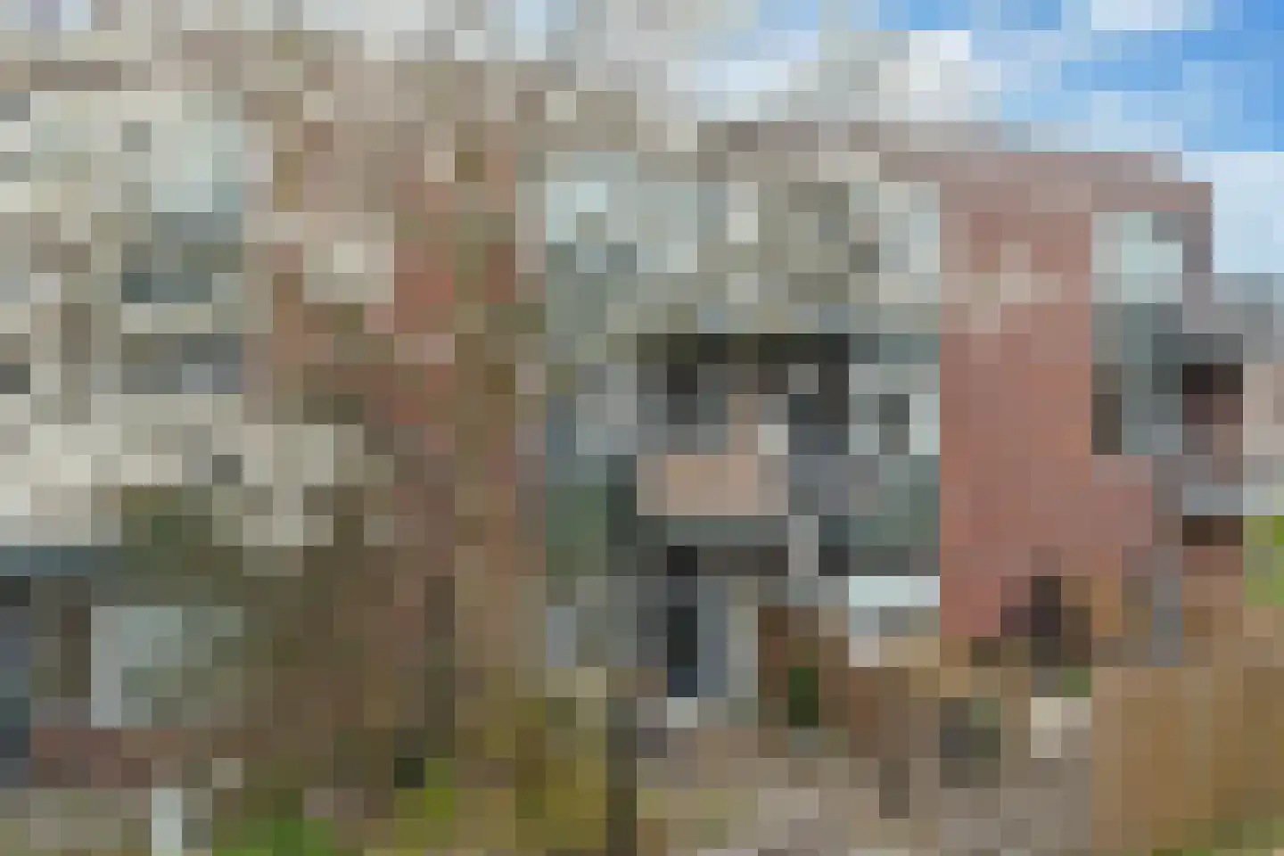 van Borsselestraat 19 Beverwijk thumbnail 7