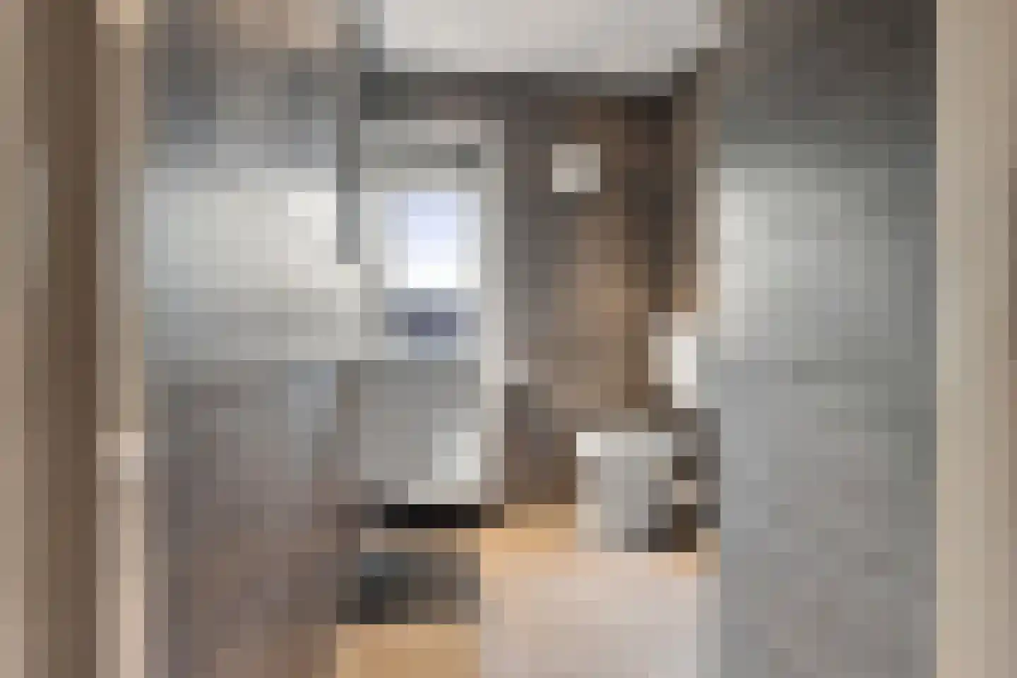 van Borsselestraat 20 Beverwijk thumbnail 21