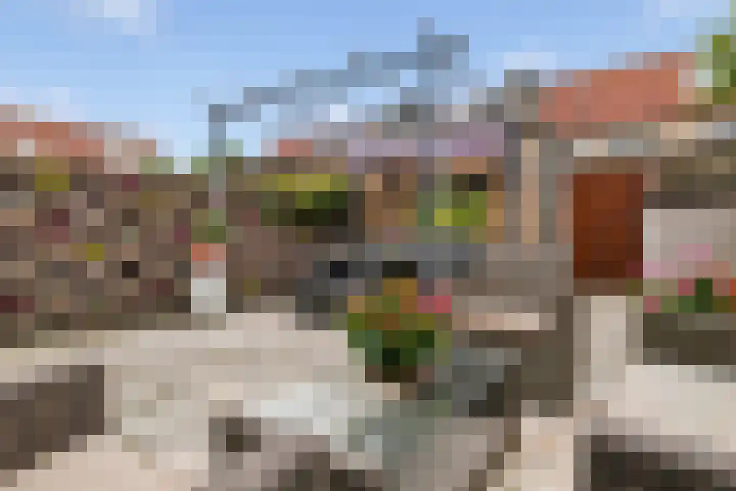 van Borsselestraat 20 Beverwijk thumbnail 34