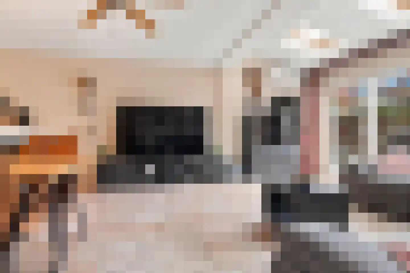 van Borsselestraat 20 Beverwijk thumbnail 7