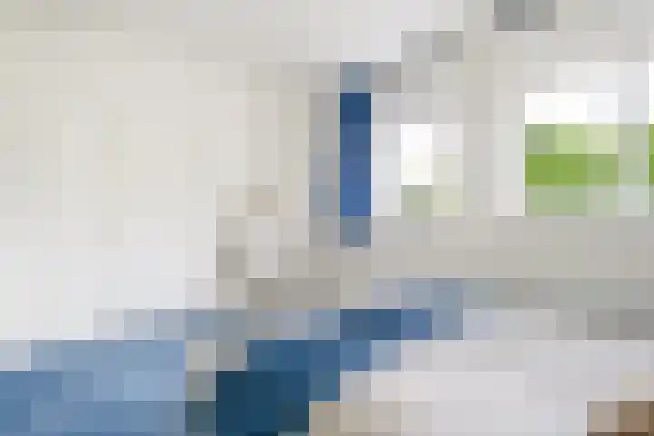 Van Borsselestraat 23 Oosterhout thumbnail 20