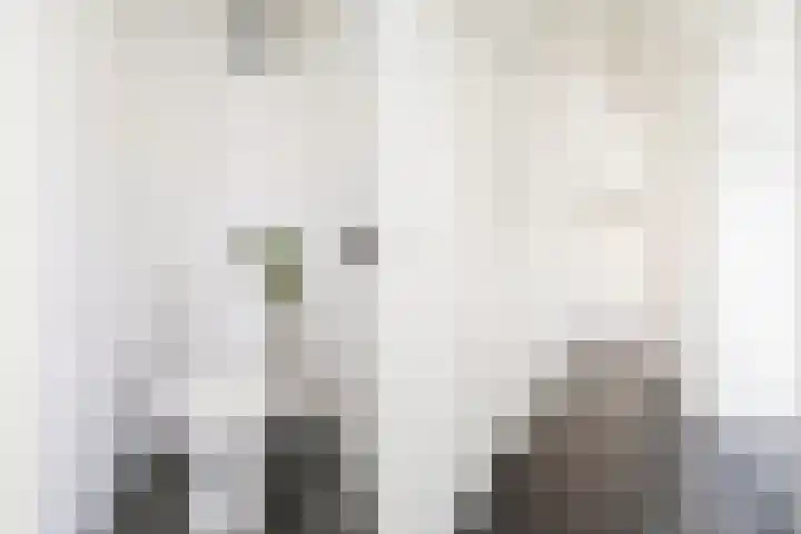 Van Borsselestraat 23 Oosterhout thumbnail 6