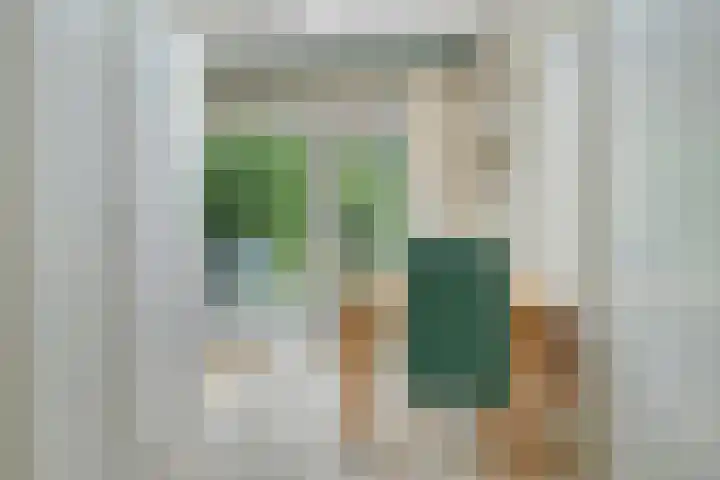 Van Borsselestraat 3 Oosterhout thumbnail 20
