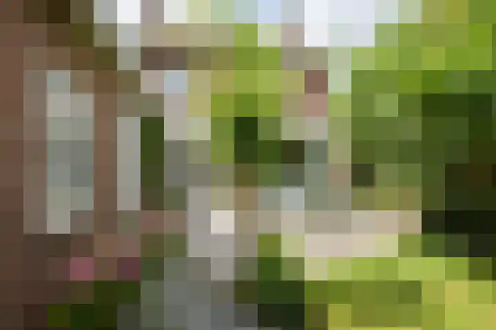 Van Borsselestraat 3 Oosterhout thumbnail 22
