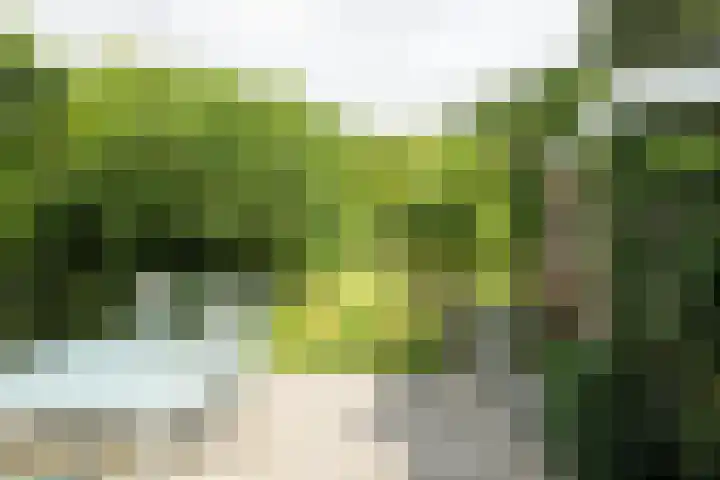 Van Borsselestraat 3 Oosterhout thumbnail 25