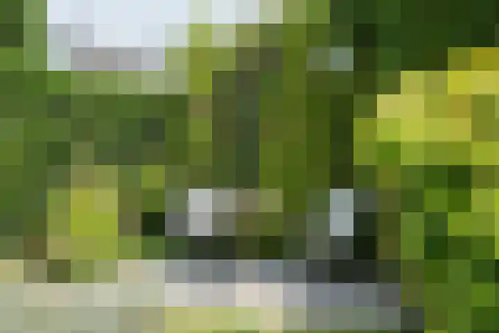 Van Borsselestraat 3 Oosterhout thumbnail 27