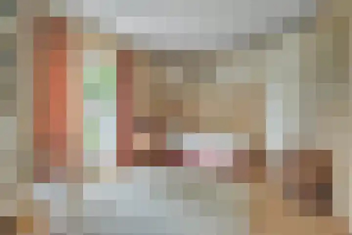 Van Borsselestraat 3 Oosterhout thumbnail 32