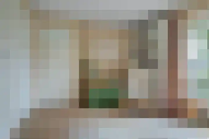 Van Borsselestraat 3 Oosterhout thumbnail 33