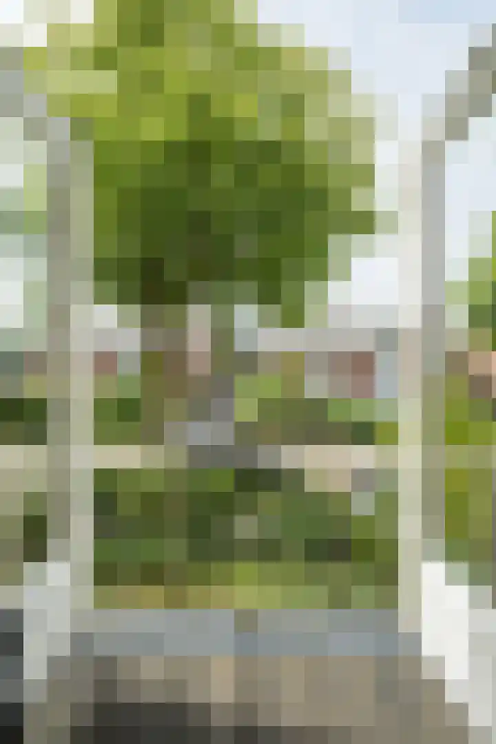 Van Borsselestraat 3 Oosterhout thumbnail 34