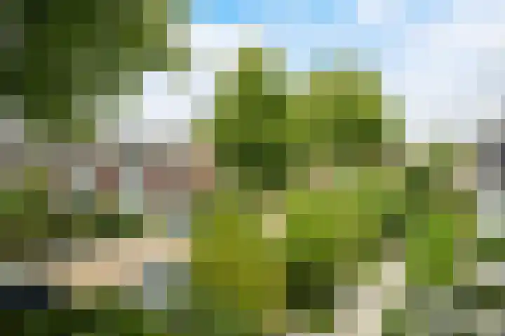 Van Borsselestraat 3 Oosterhout thumbnail 35