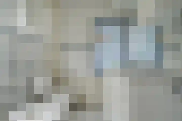 Van Borsselestraat 3 Oosterhout thumbnail 37