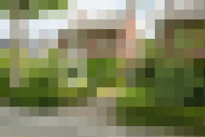 Van Borsselestraat 3 Oosterhout thumbnail 49