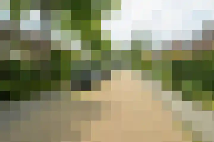 Van Borsselestraat 3 Oosterhout thumbnail 51