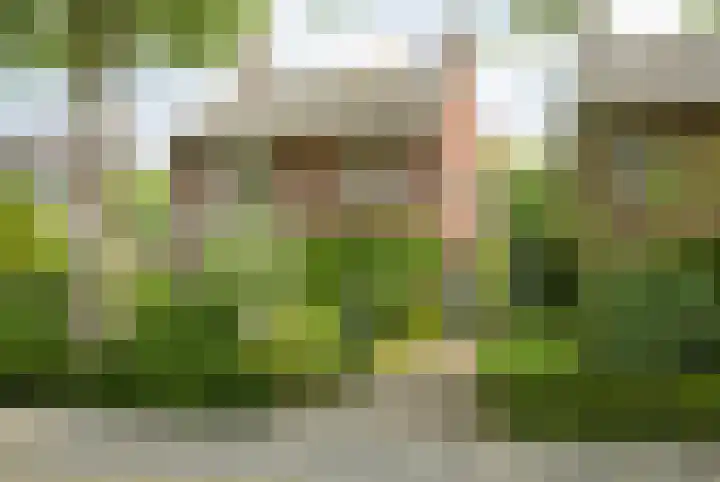 Van Borsselestraat 3 Oosterhout thumbnail 62