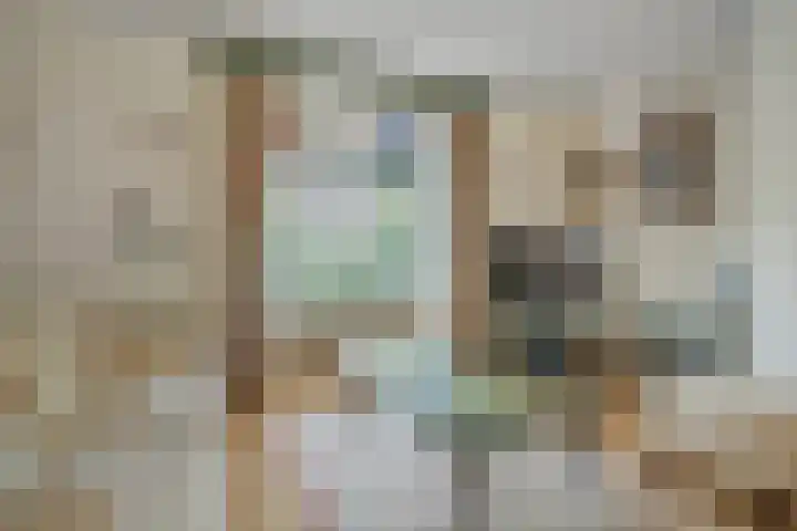 Van Borsselestraat 3 Oosterhout thumbnail 9