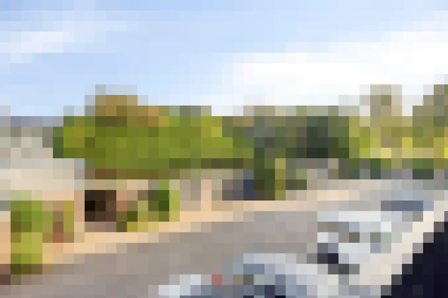 Van Borsselestraat 33 Oosterhout thumbnail 23
