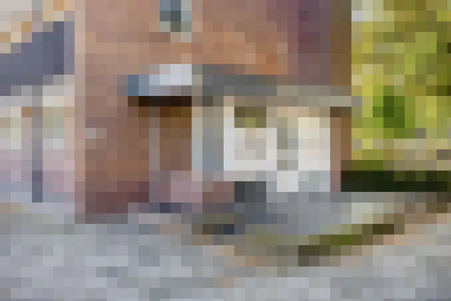 Van Borsselestraat 33 Oosterhout thumbnail 27