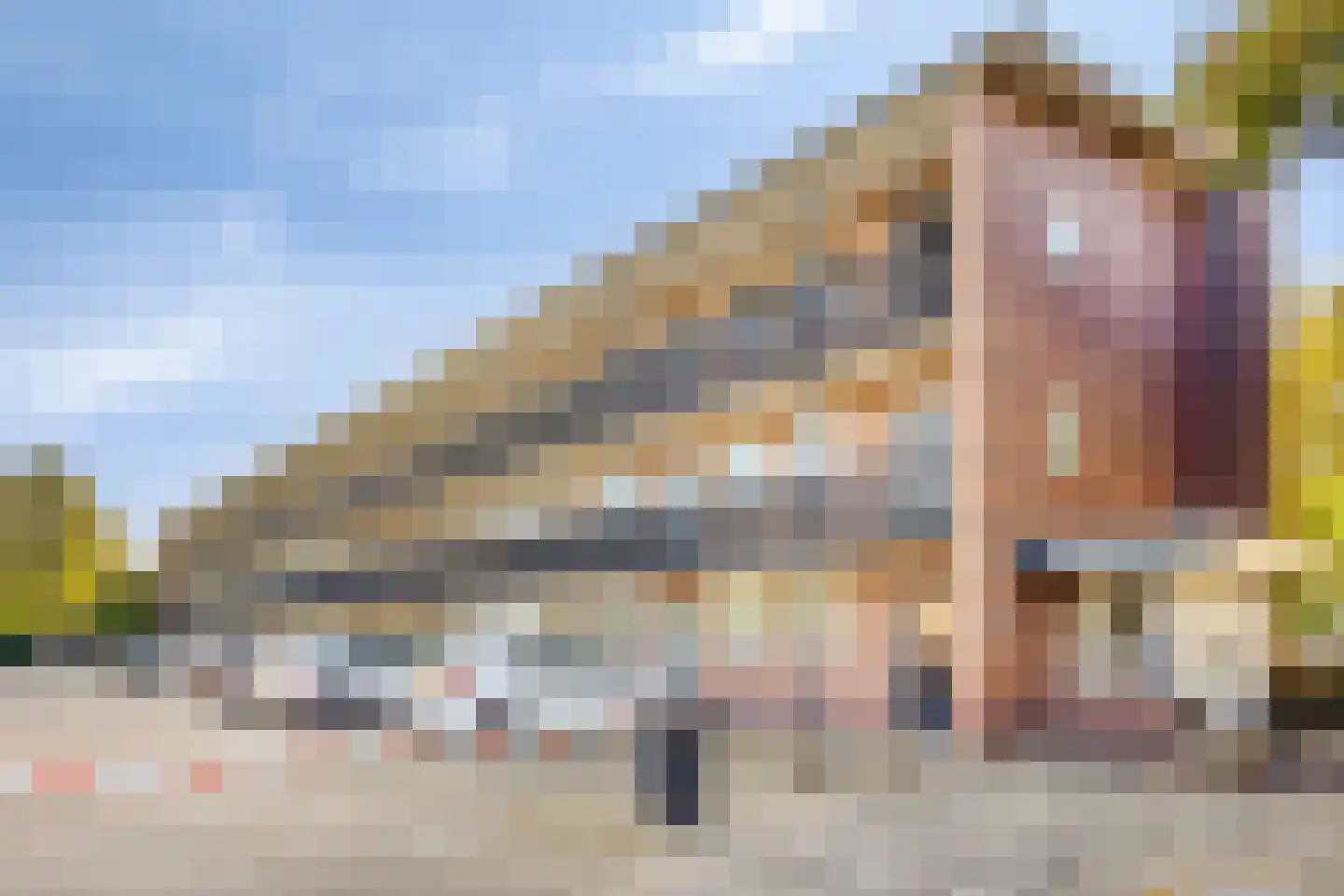 Van Borsselestraat 33 Oosterhout thumbnail 28
