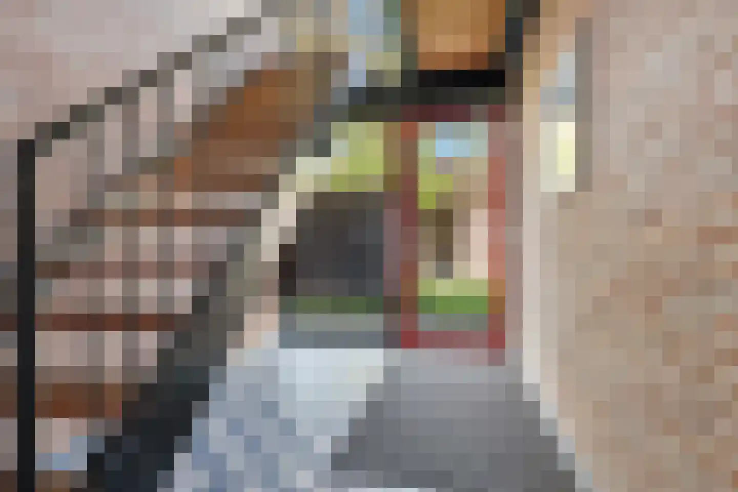van Borsselestraat 39 Beverwijk thumbnail 28