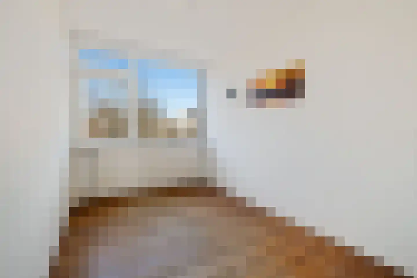 Van Boshuizenstraat 101 Amsterdam thumbnail 24