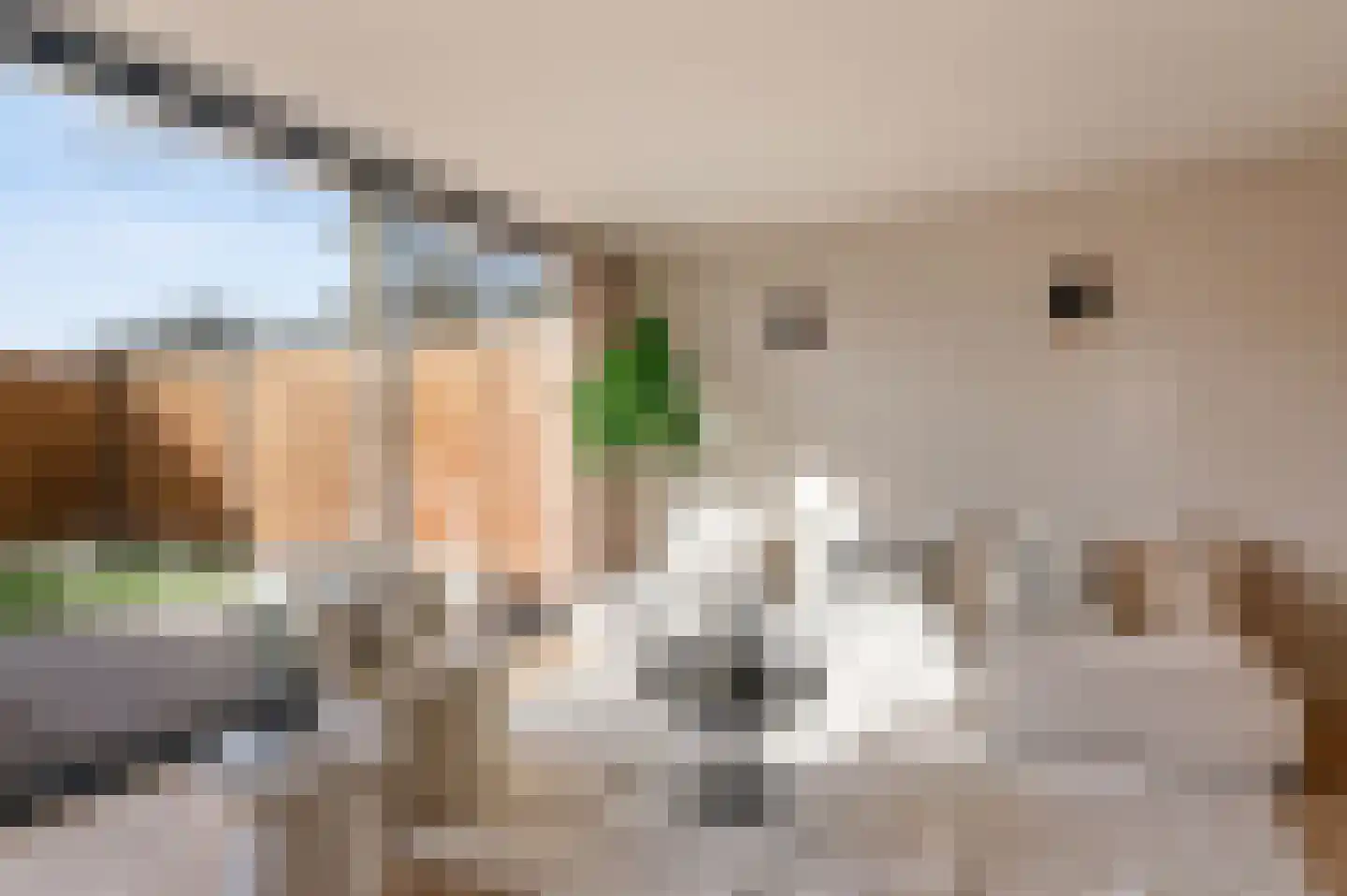 Van Boshuizenstraat 127 Amsterdam thumbnail 6