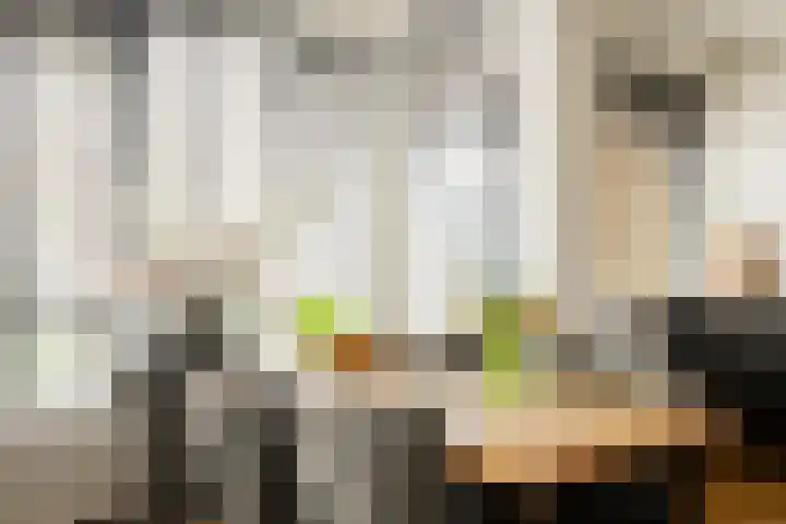 Van Boshuizenstraat 147 Amsterdam thumbnail 14