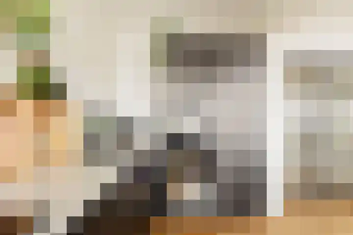 Van Boshuizenstraat 147 Amsterdam thumbnail 20