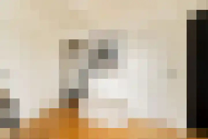 Van Boshuizenstraat 147 Amsterdam thumbnail 22